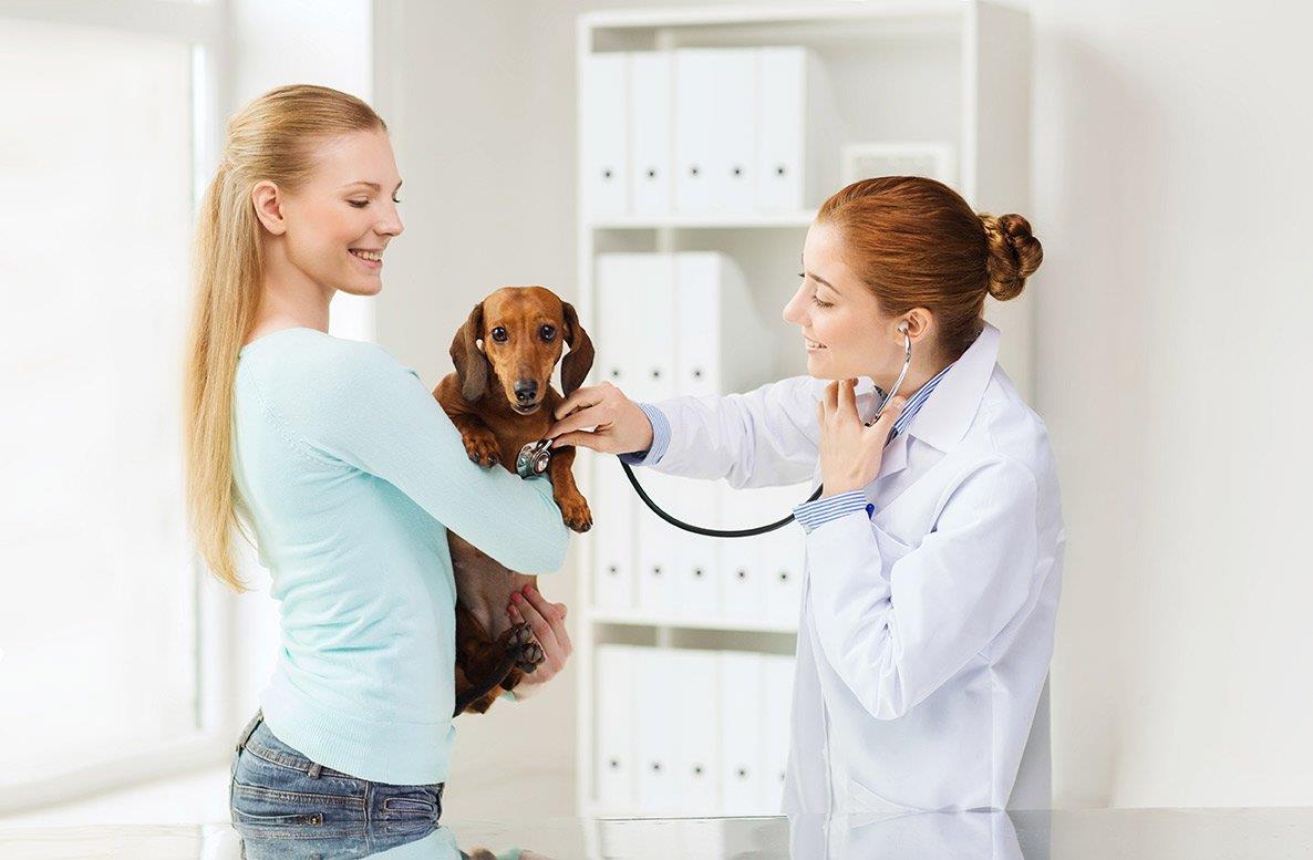 Family Pet Hospital in Chilliwack, BC